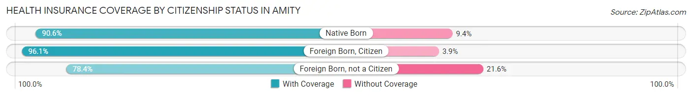 Health Insurance Coverage by Citizenship Status in Amity