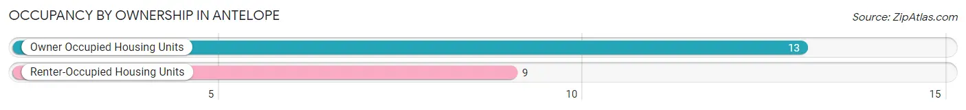 Occupancy by Ownership in Antelope