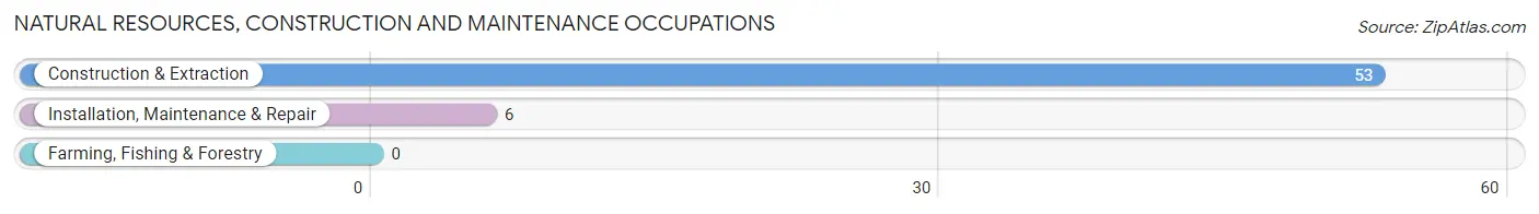 Natural Resources, Construction and Maintenance Occupations in Aurora