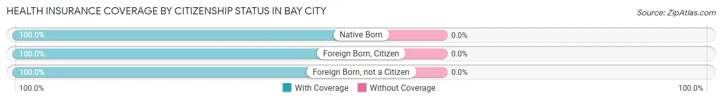 Health Insurance Coverage by Citizenship Status in Bay City