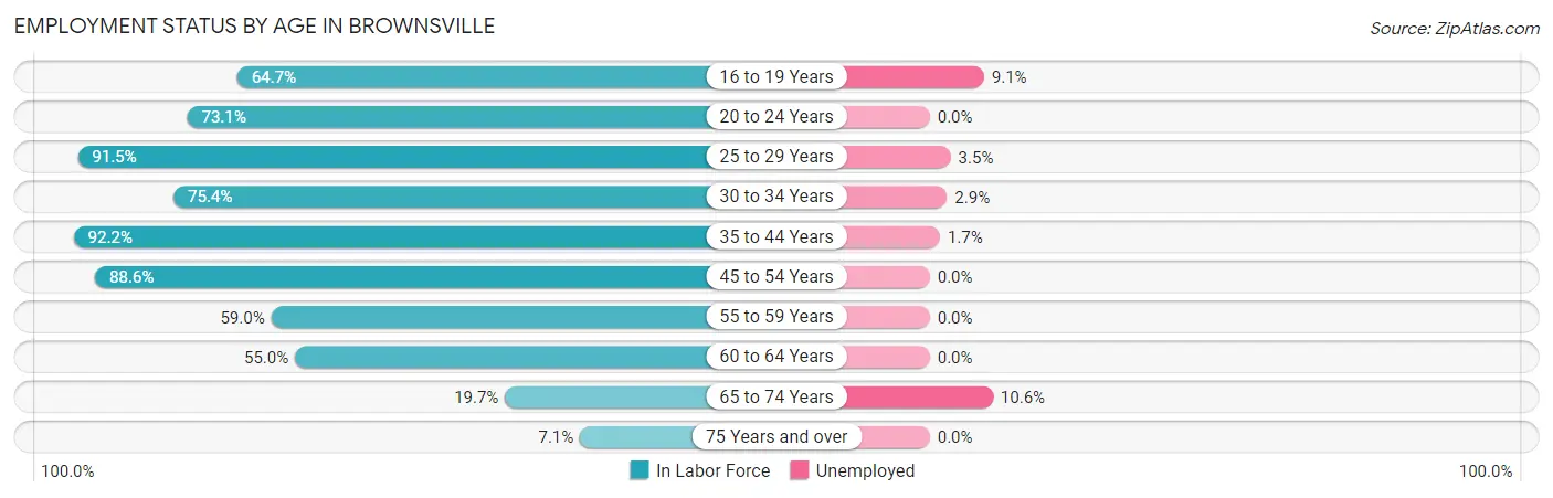 Employment Status by Age in Brownsville