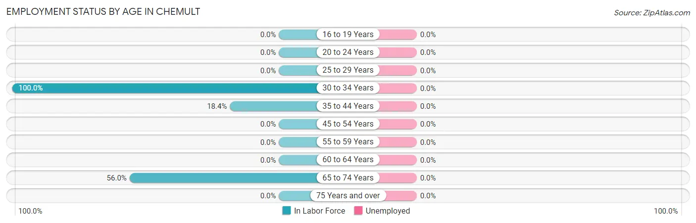 Employment Status by Age in Chemult