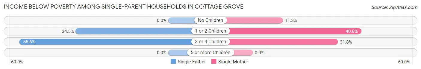 Income Below Poverty Among Single-Parent Households in Cottage Grove