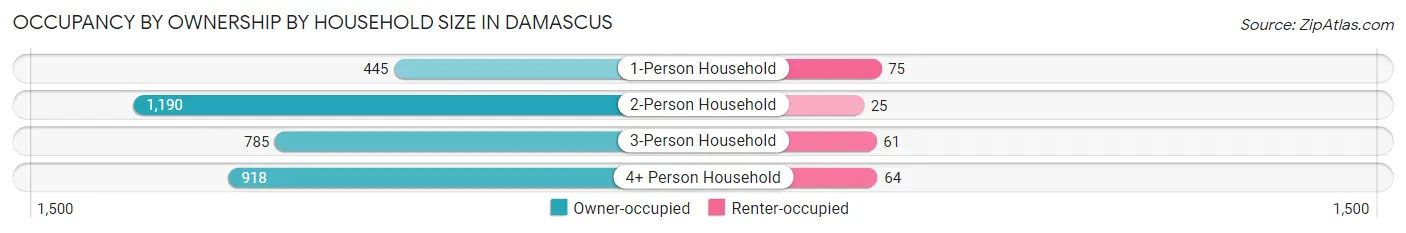 Occupancy by Ownership by Household Size in Damascus
