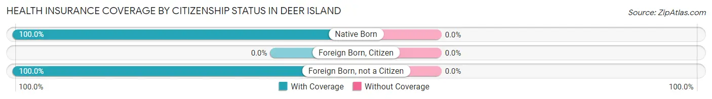 Health Insurance Coverage by Citizenship Status in Deer Island