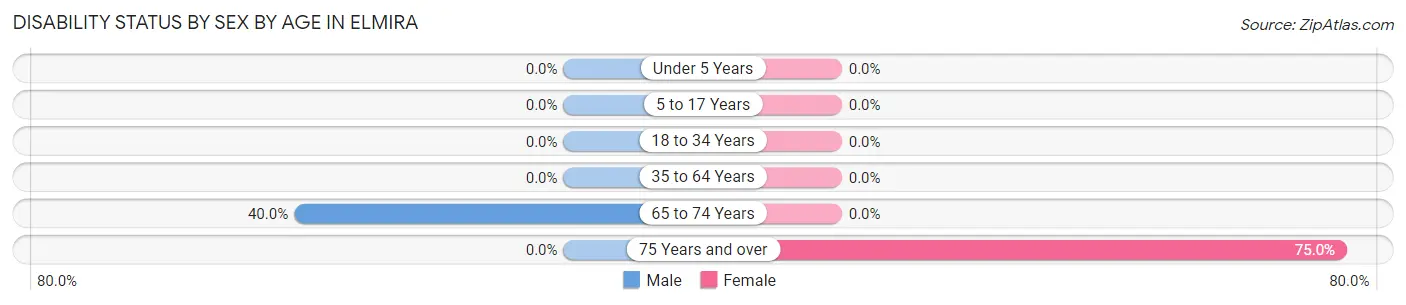 Disability Status by Sex by Age in Elmira
