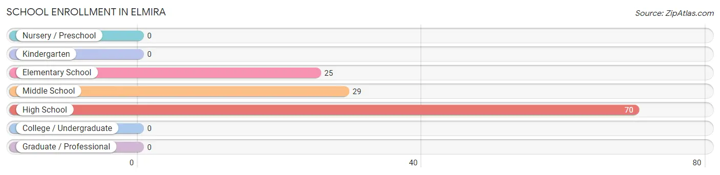 School Enrollment in Elmira