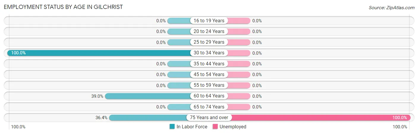 Employment Status by Age in Gilchrist