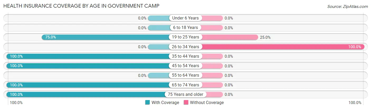 Health Insurance Coverage by Age in Government Camp