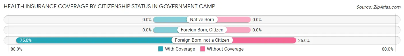 Health Insurance Coverage by Citizenship Status in Government Camp