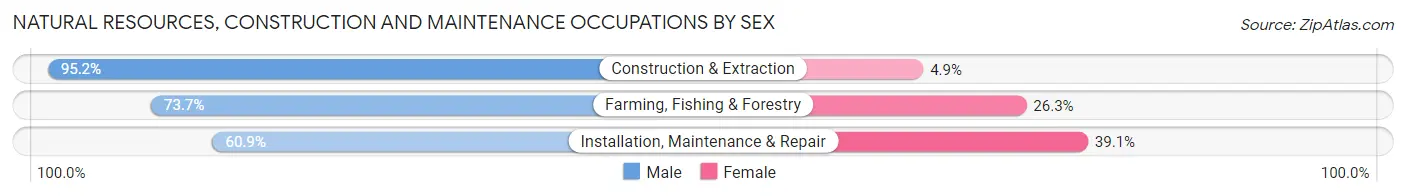 Natural Resources, Construction and Maintenance Occupations by Sex in Grants Pass
