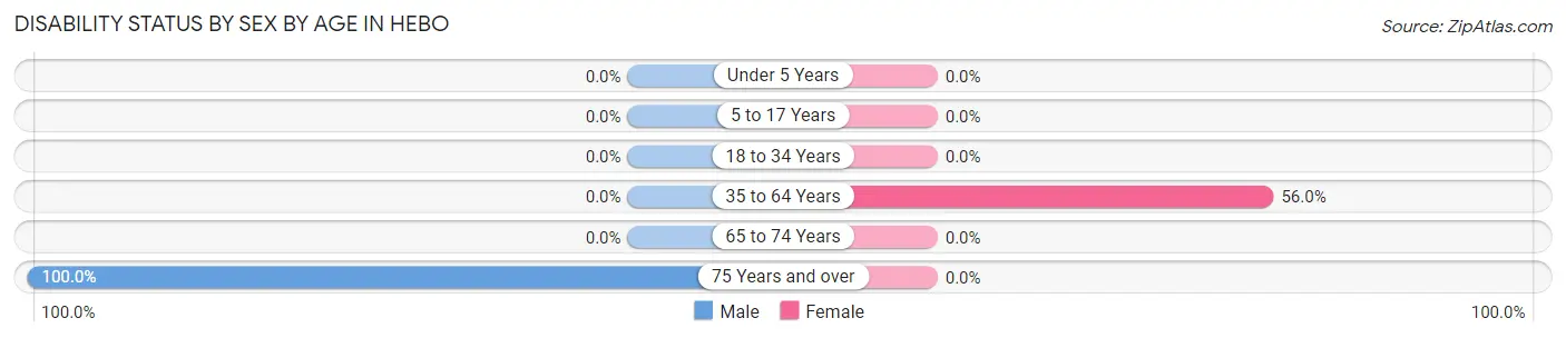 Disability Status by Sex by Age in Hebo
