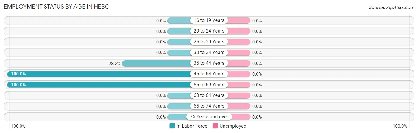 Employment Status by Age in Hebo