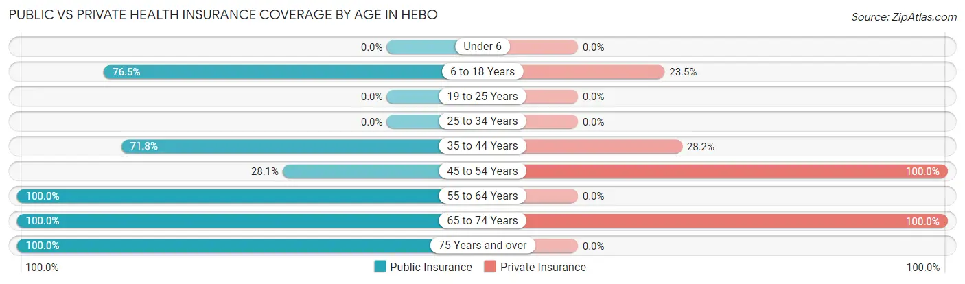 Public vs Private Health Insurance Coverage by Age in Hebo