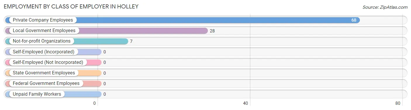 Employment by Class of Employer in Holley