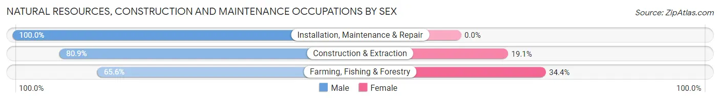 Natural Resources, Construction and Maintenance Occupations by Sex in Hubbard