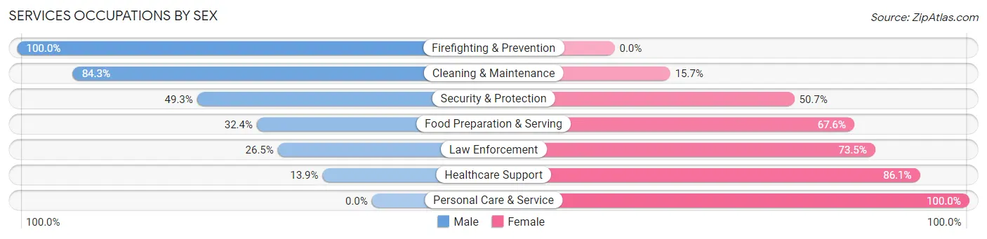 Services Occupations by Sex in Lebanon