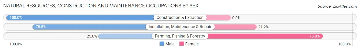 Natural Resources, Construction and Maintenance Occupations by Sex in Lincoln City