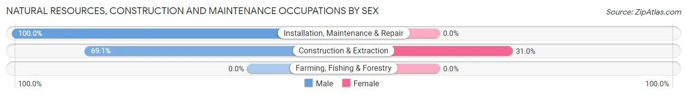 Natural Resources, Construction and Maintenance Occupations by Sex in Lowell