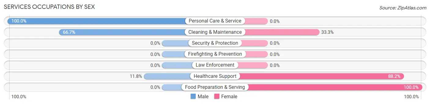 Services Occupations by Sex in Lowell