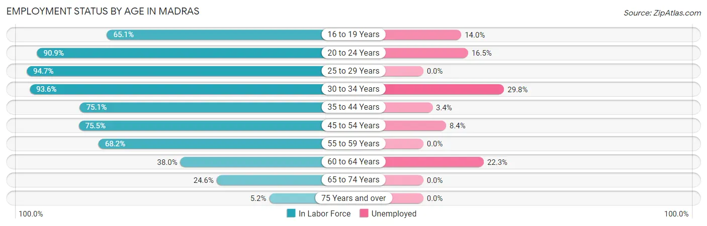 Employment Status by Age in Madras