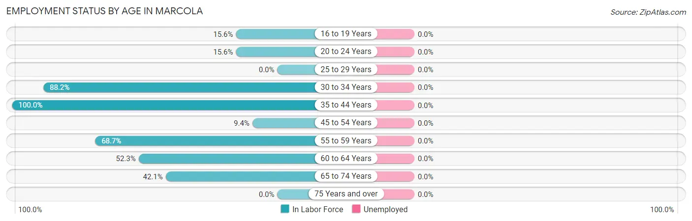 Employment Status by Age in Marcola