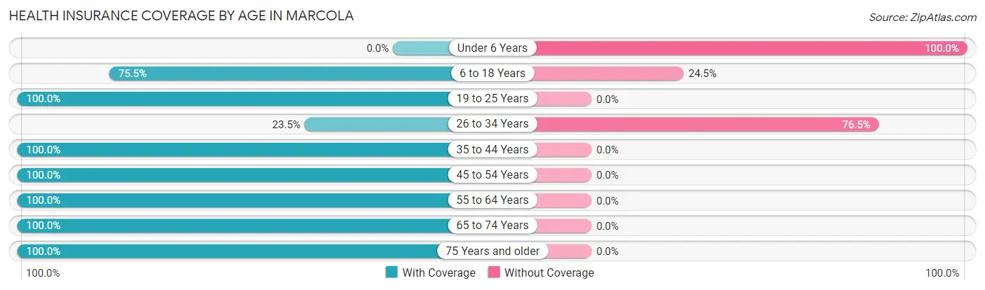 Health Insurance Coverage by Age in Marcola