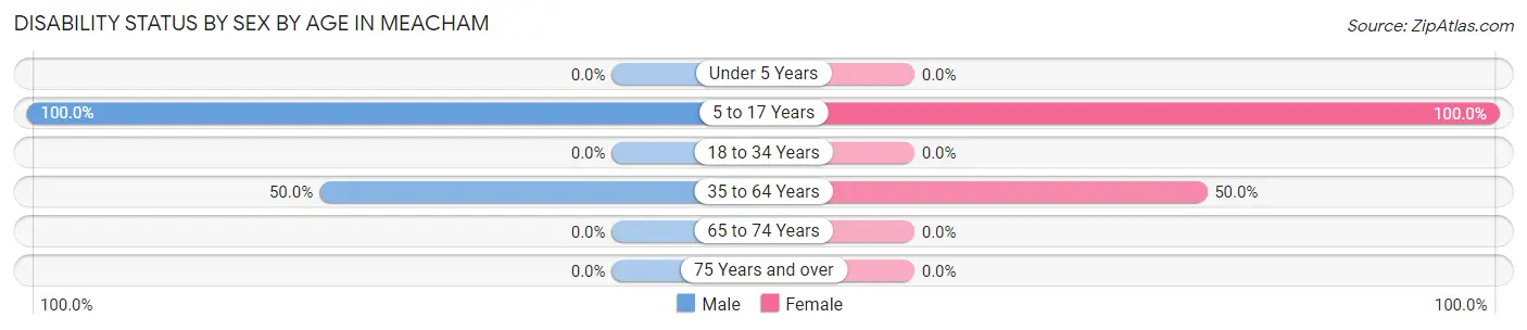 Disability Status by Sex by Age in Meacham