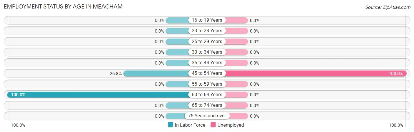 Employment Status by Age in Meacham
