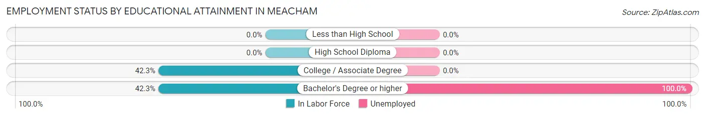 Employment Status by Educational Attainment in Meacham