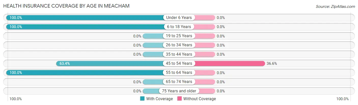 Health Insurance Coverage by Age in Meacham