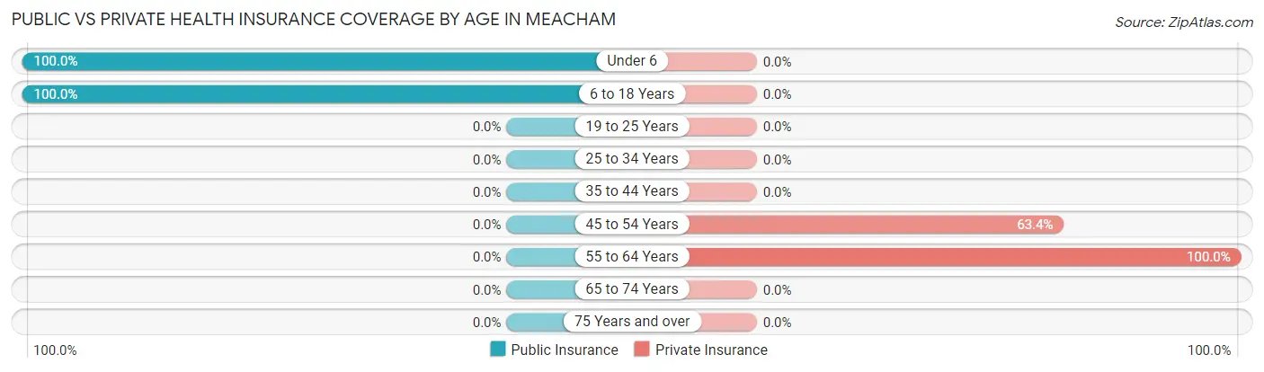 Public vs Private Health Insurance Coverage by Age in Meacham