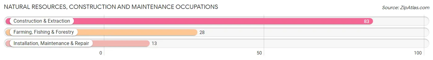 Natural Resources, Construction and Maintenance Occupations in Mill City