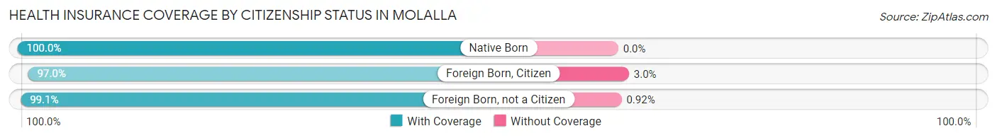 Health Insurance Coverage by Citizenship Status in Molalla