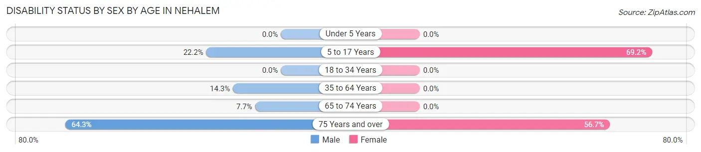 Disability Status by Sex by Age in Nehalem