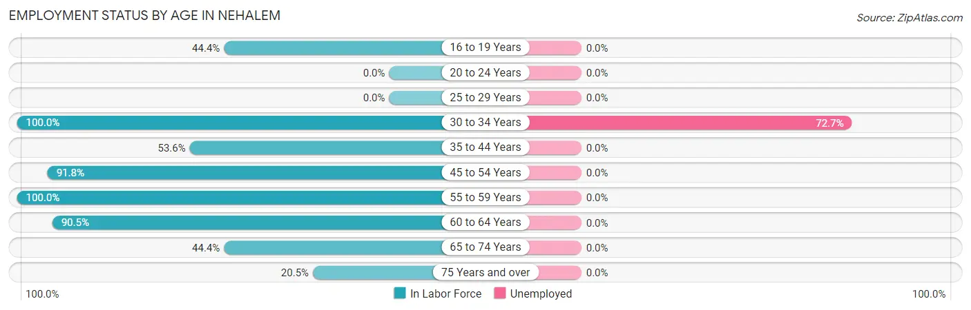 Employment Status by Age in Nehalem