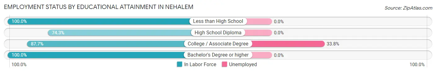 Employment Status by Educational Attainment in Nehalem