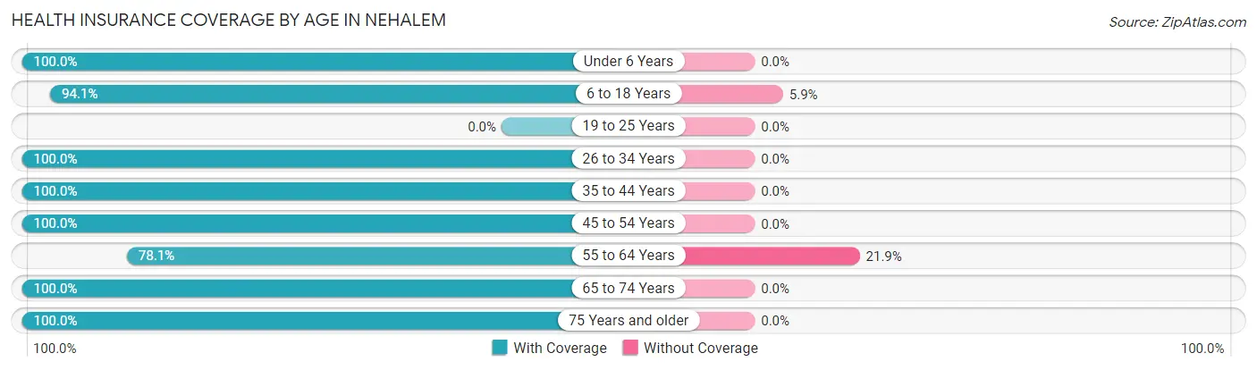 Health Insurance Coverage by Age in Nehalem