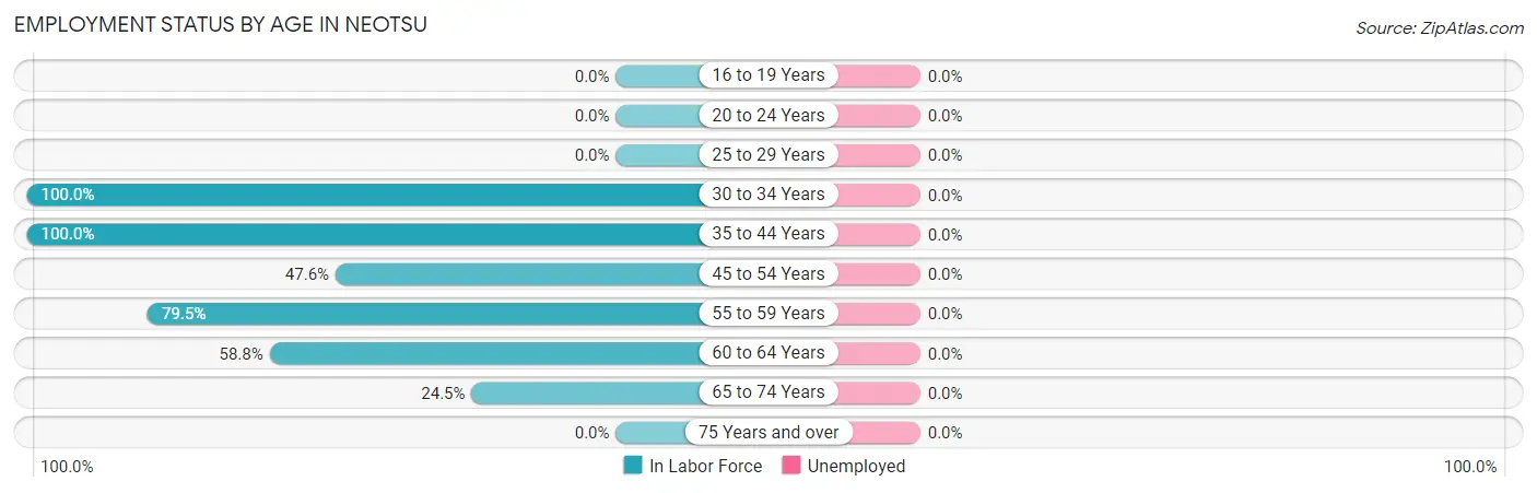 Employment Status by Age in Neotsu