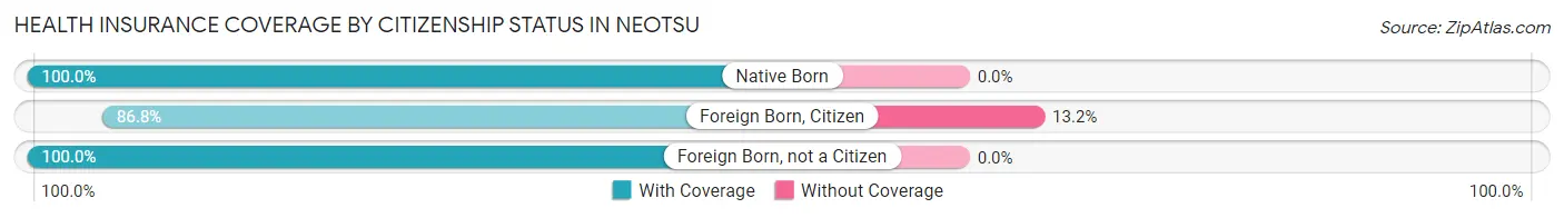 Health Insurance Coverage by Citizenship Status in Neotsu