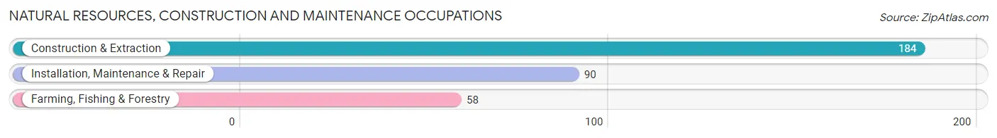 Natural Resources, Construction and Maintenance Occupations in Newport