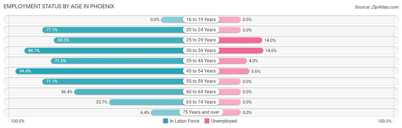 Employment Status by Age in Phoenix