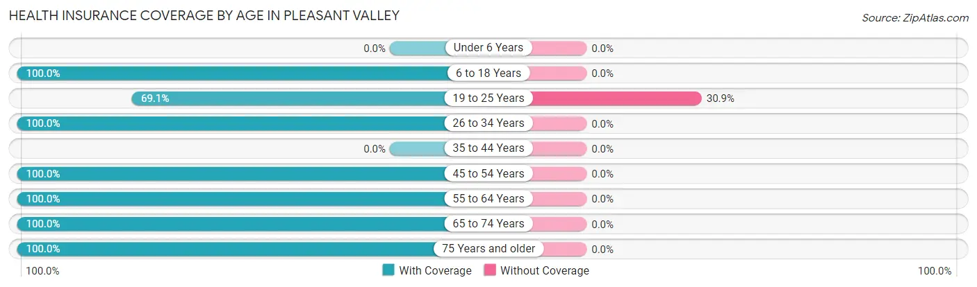 Health Insurance Coverage by Age in Pleasant Valley