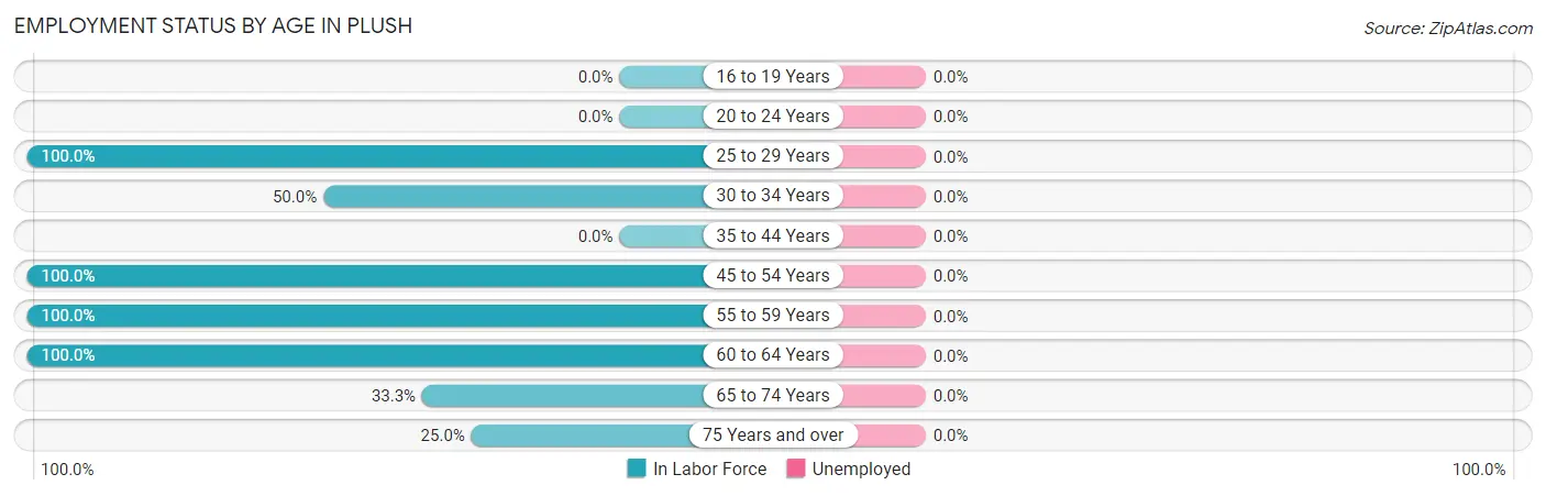 Employment Status by Age in Plush