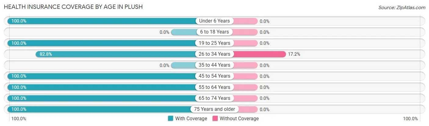 Health Insurance Coverage by Age in Plush