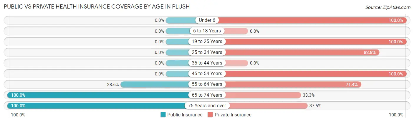 Public vs Private Health Insurance Coverage by Age in Plush