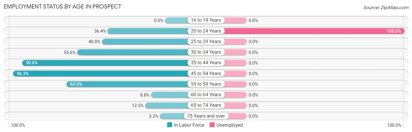 Employment Status by Age in Prospect