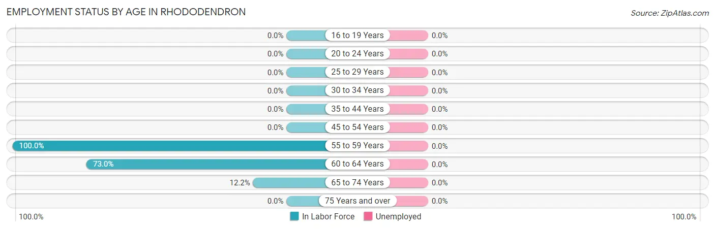 Employment Status by Age in Rhododendron