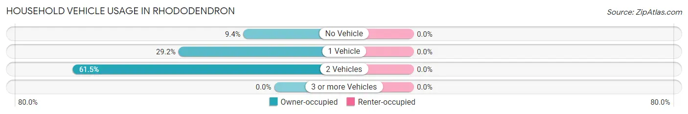 Household Vehicle Usage in Rhododendron