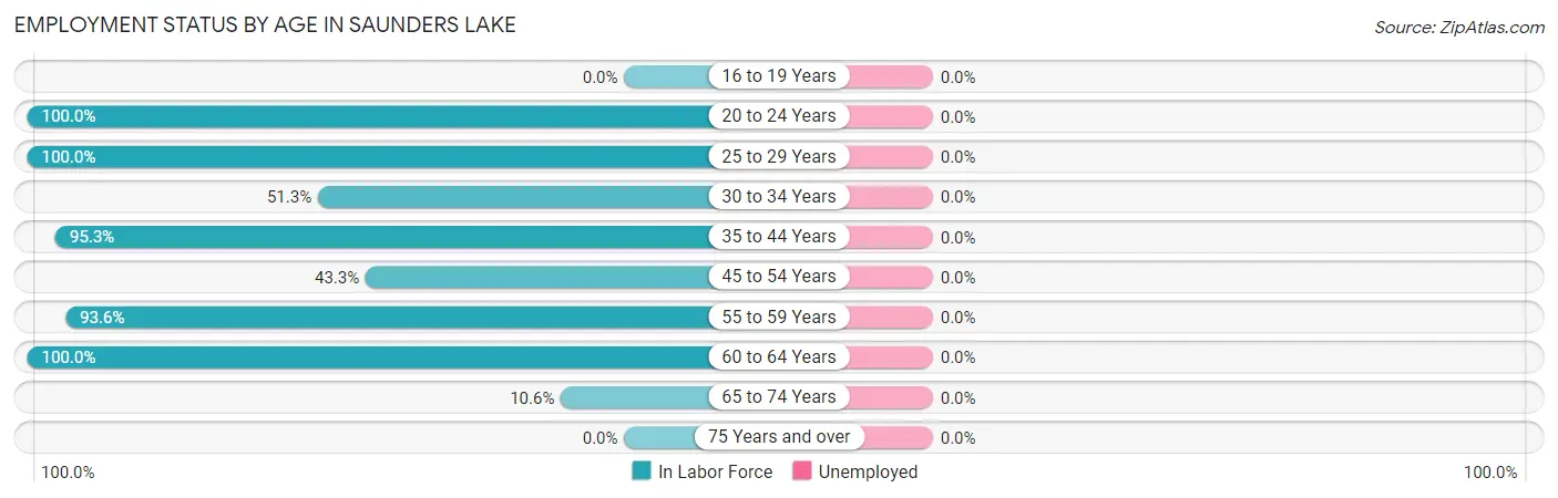 Employment Status by Age in Saunders Lake
